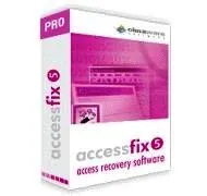 AccessFIX Professional - 100 users