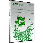 ConceptDraw MINDMAP - 5 Users