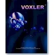 Voxler 4 Standalone Single User - 