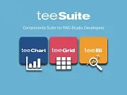 TeeSuite Pro v2018 for RAD Studio Developer license - Single developer license